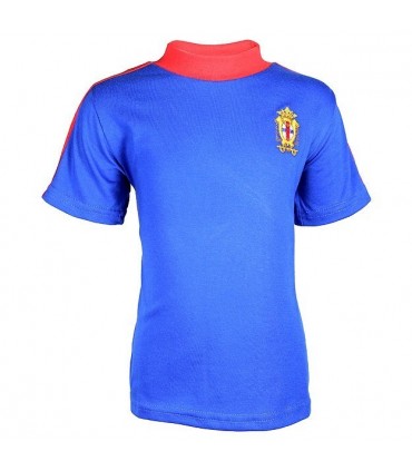 Camiseta Infantil Manga Corta Virgen del Remedio